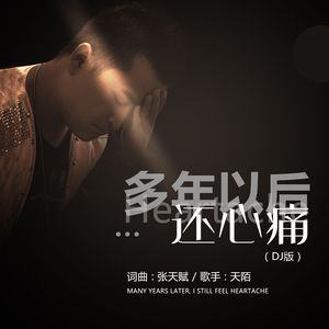 多年以后还心痛 (DJ版伴奏)
