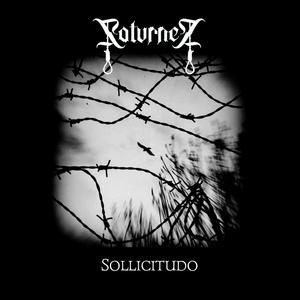 Sollicitudo