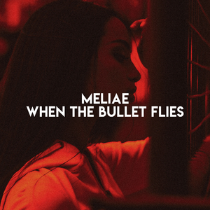 When The Bullet Flies