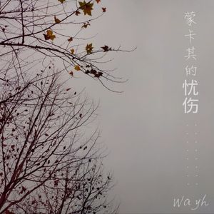 蒙卡其的忧伤