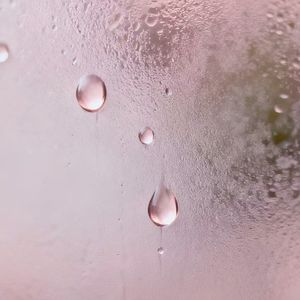 宝贝（哄睡版）