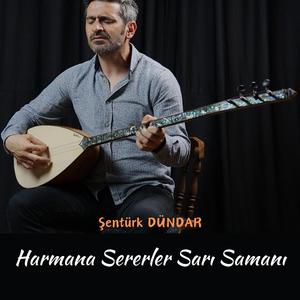 Harmana Sererler Sarı Samanı