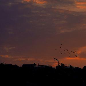 旧情人，我是时间的新欢