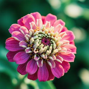 Standing Through the Storm