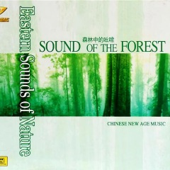 沙海月影 (纯音乐)