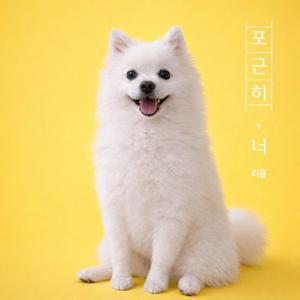 포근히, 너 (Cozy You)