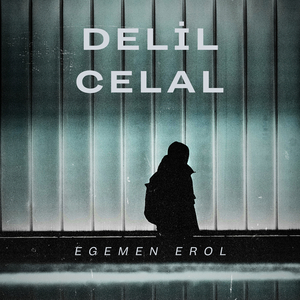 Ve Gelir Baş Komiser Delil Celal