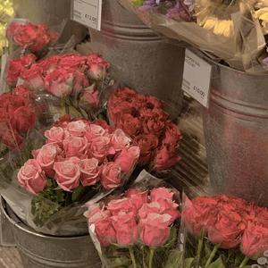 追光者（Remix ）