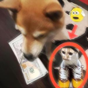 ##posed2win (feat. vilse)