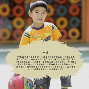 ⅩⅤ红楼梦诗词曲赋鉴赏（壹拾伍）咏红梅、灯谜诗、怀古绝句十首、赤壁怀古、交趾怀古、钟山怀古、淮阴怀古