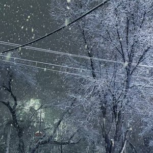 有你在我很心安