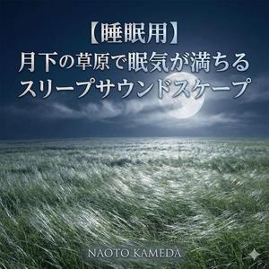 光を編む音、 朝を描くアンビエント