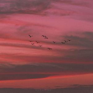 我总是不懂你的意思