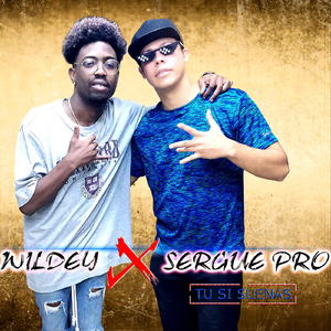 Tú Si Suenas (feat. Wildey)