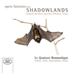 Die tote Stadt (the Dead City), Op. 12: Die tote Stadt, Op. 12: Grosse Fantasie [arr. For violin, cello, harmonium and piano]