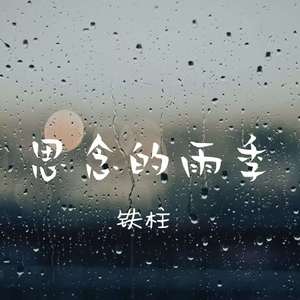 思念的雨季