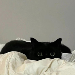 写给你的秘秘情歌