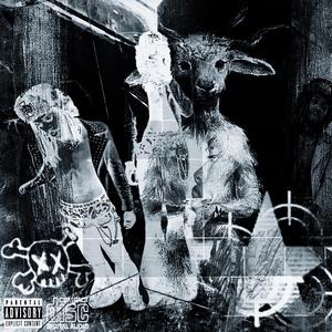 SHE'S THE BUTTERFLY EFFECT