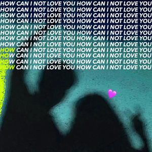 HOW CAN I NOT LOVE YOU