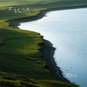 黄昏标本