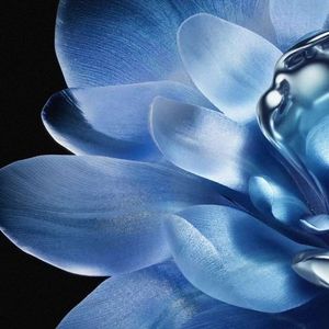 无名的勋章-岳良华