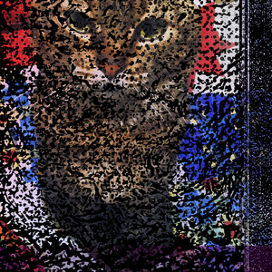 Ich Habe Zu Viel Säure Genommen Und Mir Dreht Sich Der Kopf