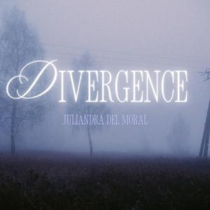 Divergence
