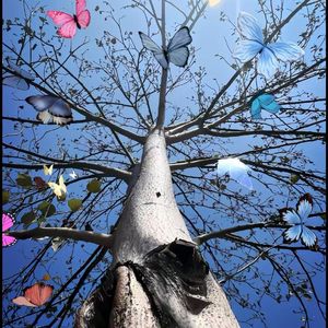 三叶的主题曲（to范子轩）