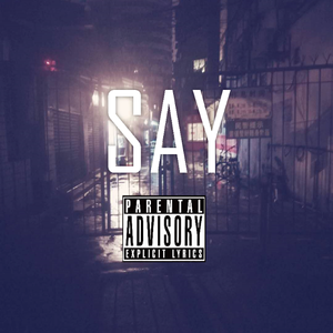 SAY(feat. RaineZ¥)