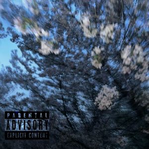 "Blurred"Indie pop&Gospel Type