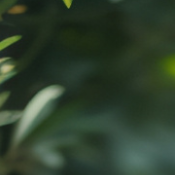 梦想的断章续写