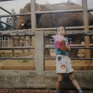 菩提freestyle（prod.eeryskies）