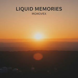 Liquid Memories