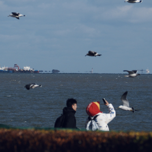 几分之几（温柔女生版）