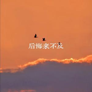 后悔来不及
