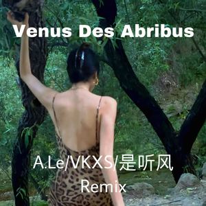 Venus Des Abribus （A.Le/ VKXS / 是听风 Remix）