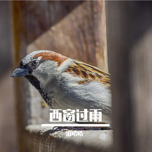 寒风不停歇 伴奏