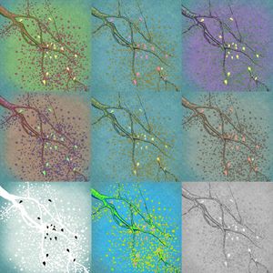 秋天的梦（Prod.金桔0RANG3）