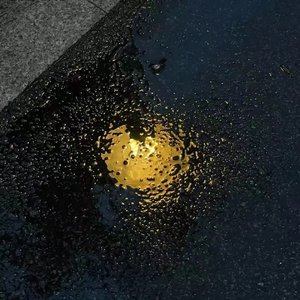 我一直想从你的窗子里看月亮