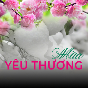 Huyền thoại một vì sao