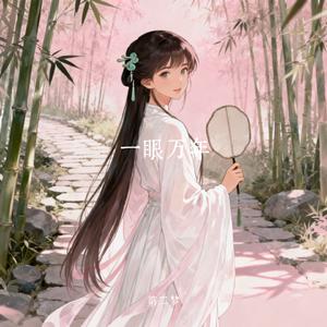 一眼万年