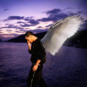 "爱神" mac ova seas type