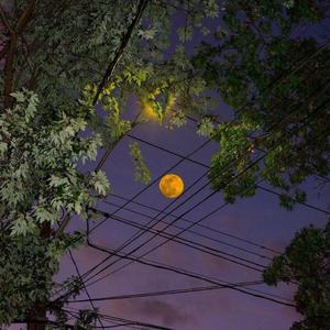 晚风（翻自 Copy）