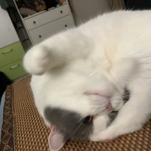 暖暖冬瓜汤（demo）