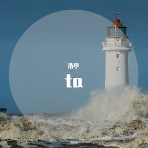 ta（简易概念版）