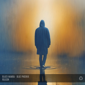 Reason (Extented Club Mix)