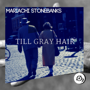 Till Gray Hair (Original Mix)