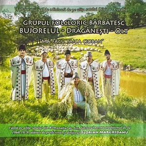 Dunăre ce curgi șuvoi