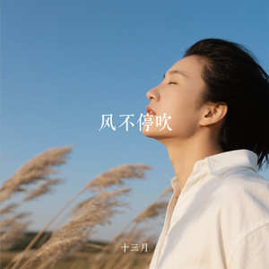 风不停吹（Cover 陈小楠）