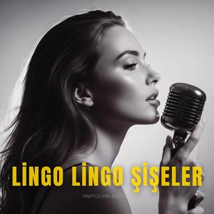 Lingo Lingo Şişeler